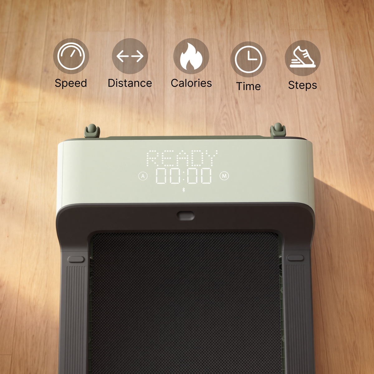 KingSmith WalkingCase